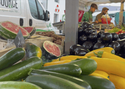 marche-GAEC-LA-SOURCE-maraichage-bio-maine-et-loire-la-pommeraye
