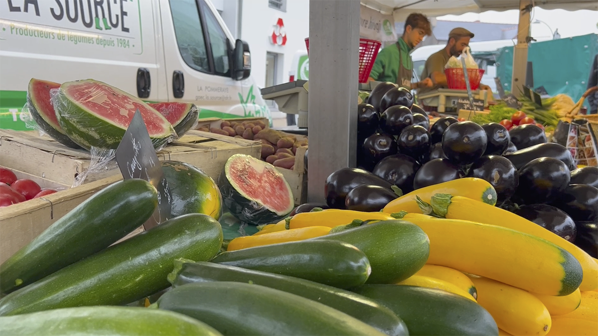 marche-GAEC-LA-SOURCE-maraichage-bio-maine-et-loire-la-pommeraye