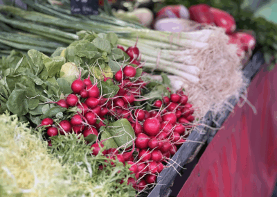 marche-GAEC-LA-SOURCE-maraichage-bio-maine-et-loire-la-pommeraye